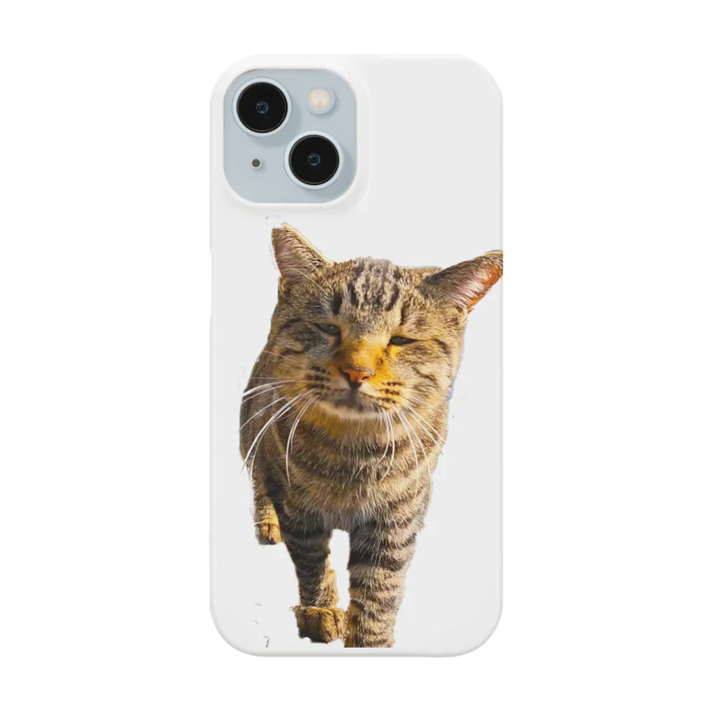 猫島のじかんのごめ～んにゃさい Smartphone Case