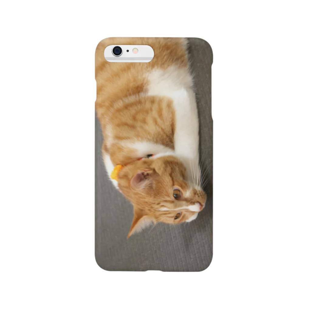 CoConutsのたたみねこ Smartphone Case