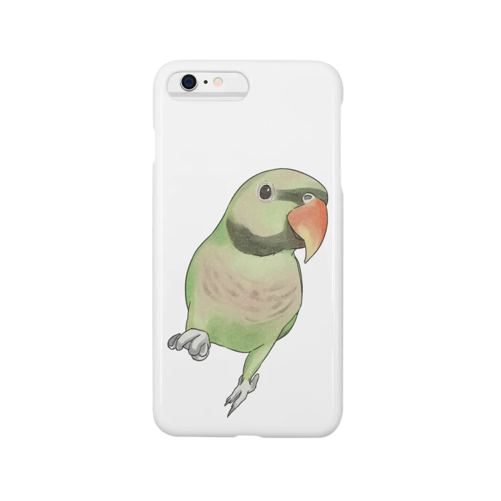 まめるりはことりのご機嫌なダルマインコちゃん【まめるりはことり】 Smartphone Case