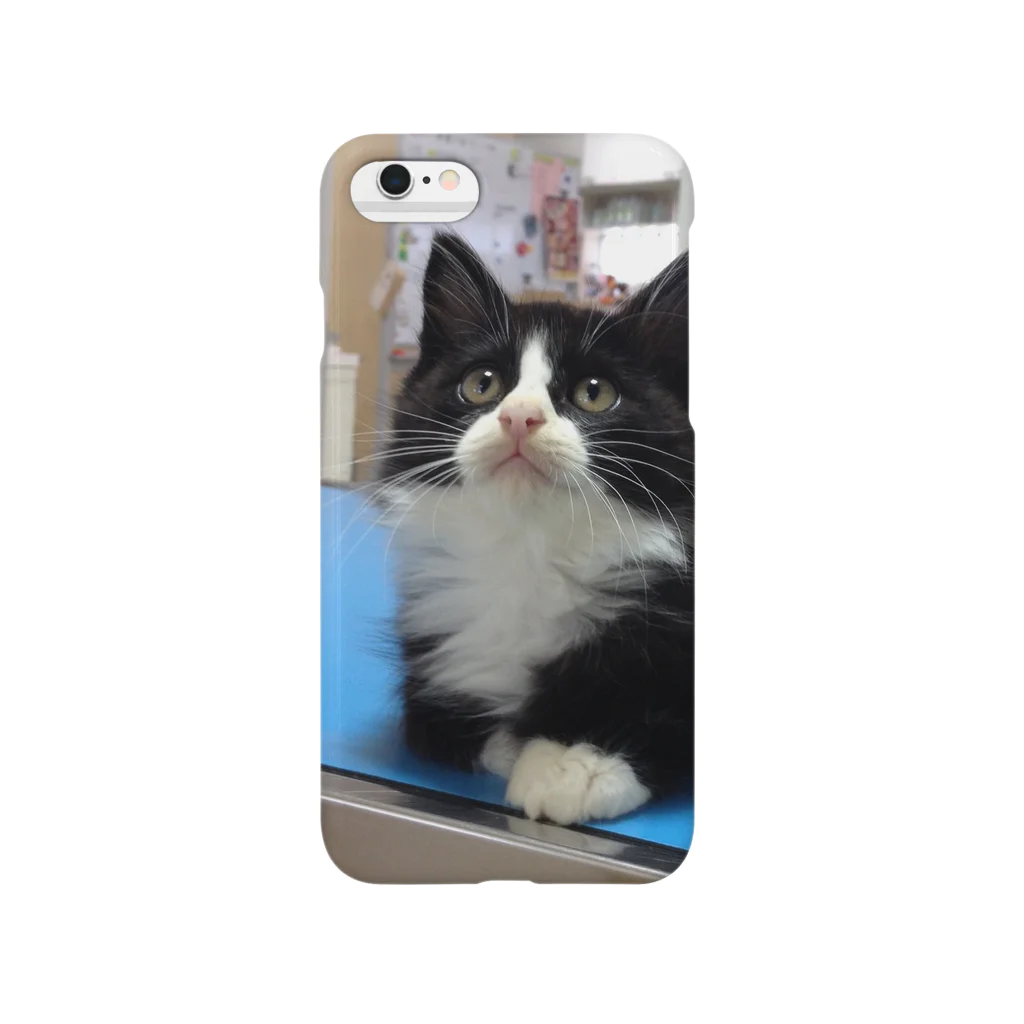 保護猫カフェにゃんずの保護猫ぽんちゃん Smartphone Case