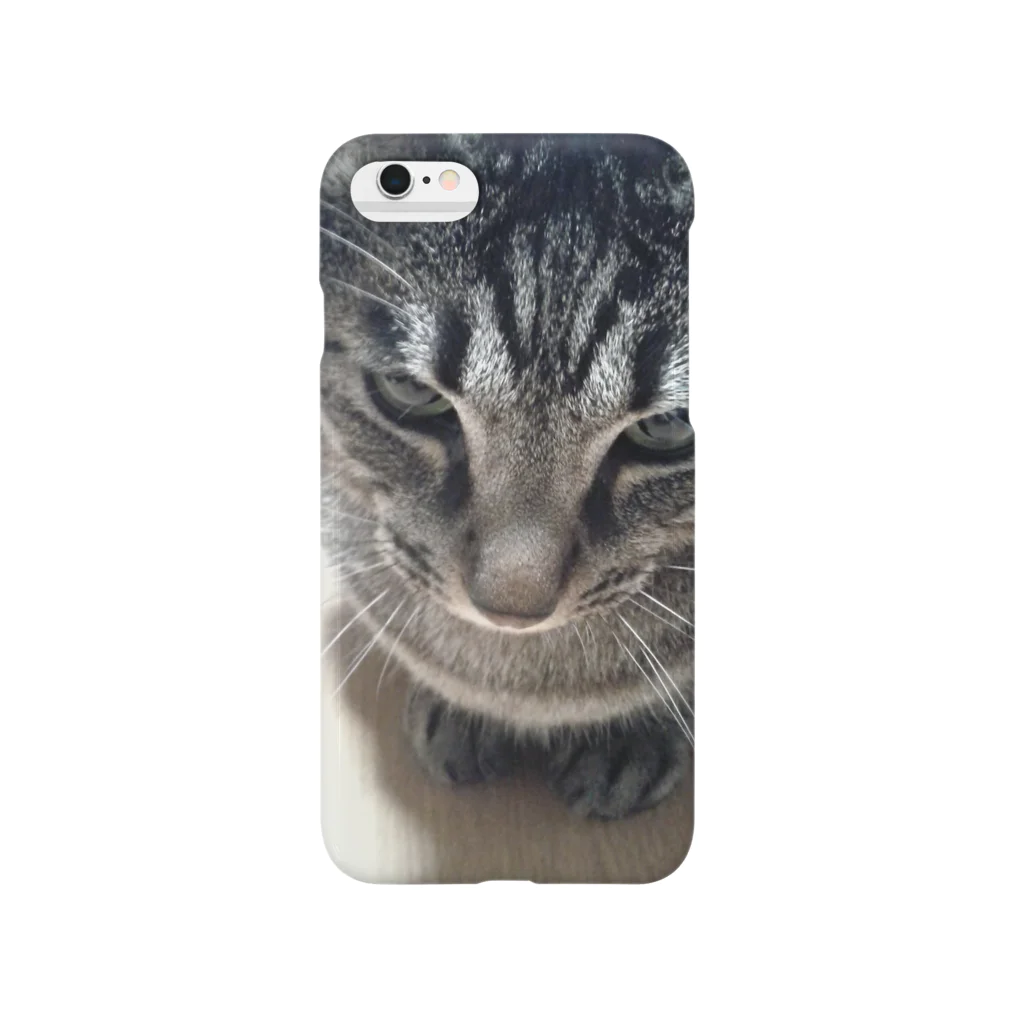  蓮のしましま雑種猫 Smartphone Case