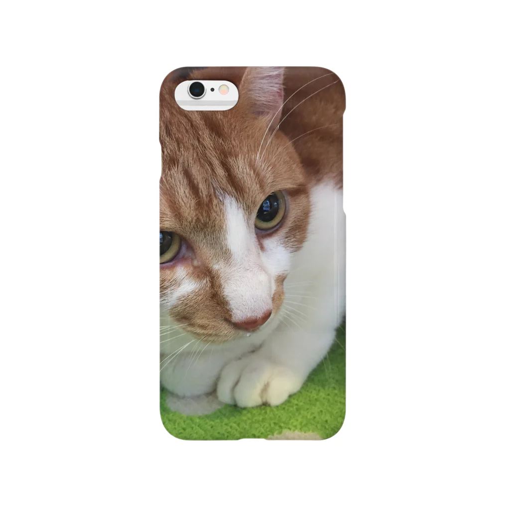 ねこまる広場のぽてとさんヾ(◍'౪`◍)ﾉﾞ Smartphone Case