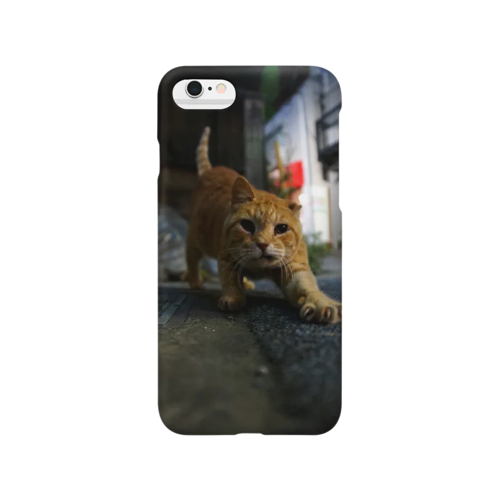 シッポ追いの猫写真店のInto the night Smartphone Case