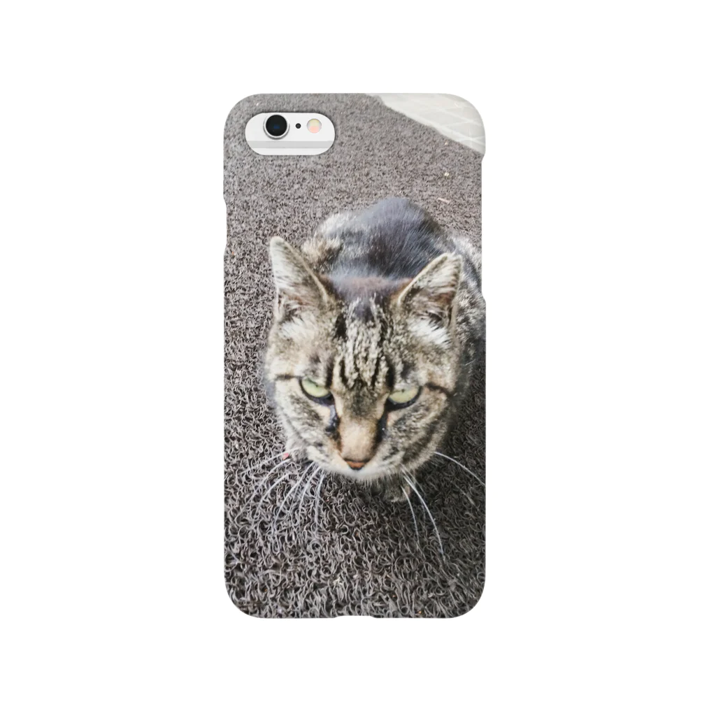 ラウローマウの野良猫1 Smartphone Case