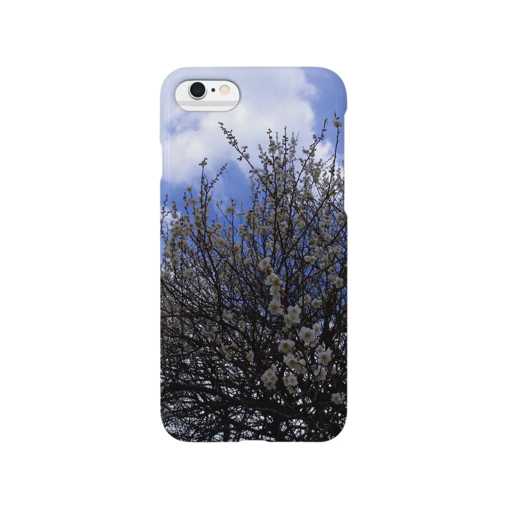 hiroki-naraの梅　ウメ　Japanese　apricot DATA_P_099　春　spring Smartphone Case