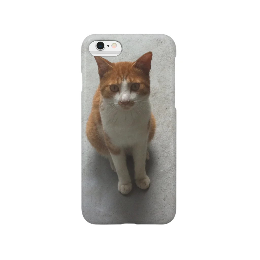 hypermktの庭に遊びに来る猫 Smartphone Case