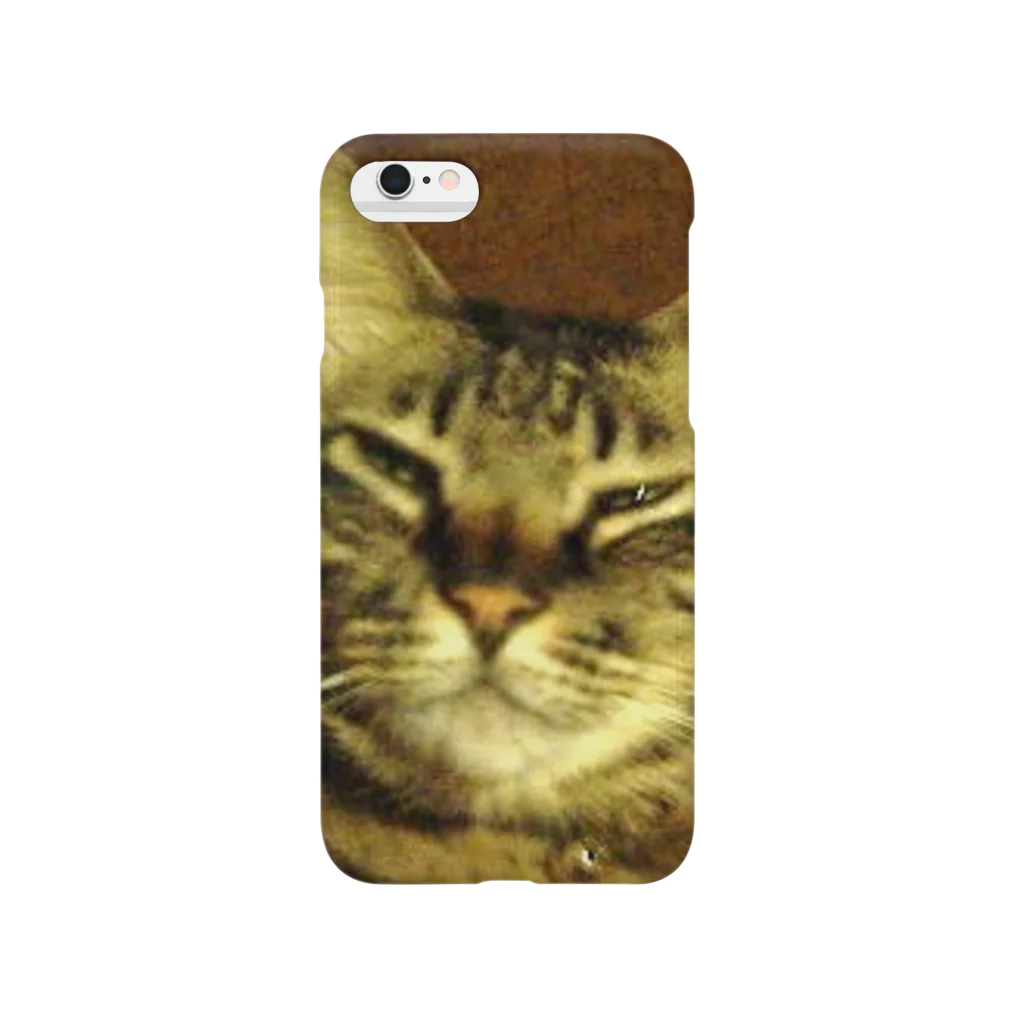 幸せを運ぶ福猫ピー助の幸せを運ぶトラ猫 Smartphone Case