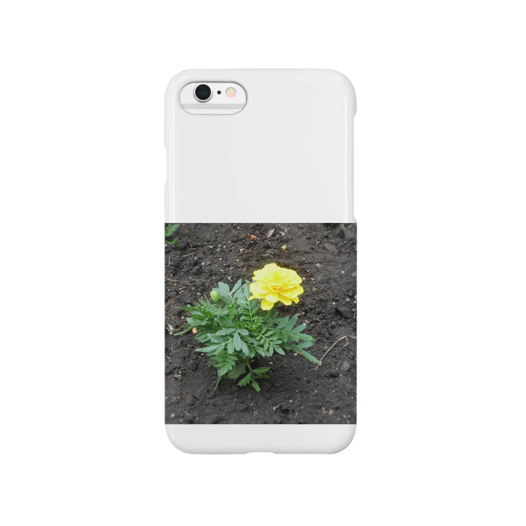 吉原教室の初夏の花壇 Smartphone Case