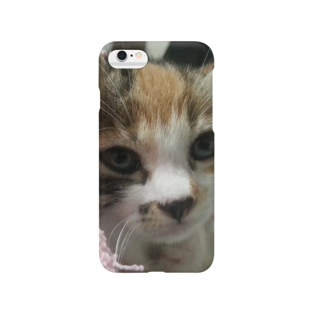 ほたての寝ぼけ子猫 Smartphone Case