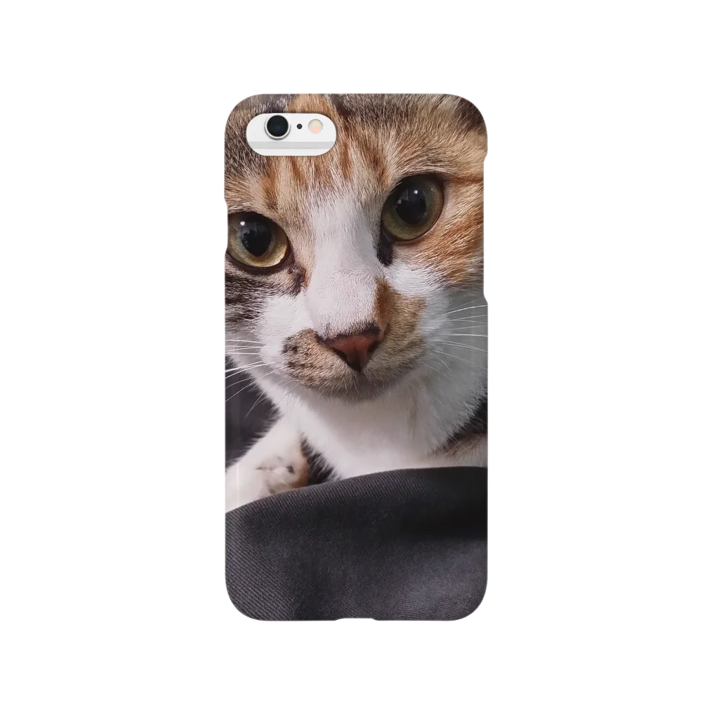 ほたてのキリッ Smartphone Case