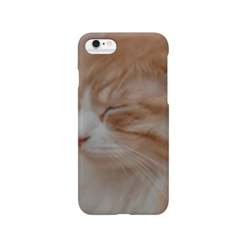 ｓａｋａｍｏ●┻┓vfk◆jfkの孤高の猫 Smartphone Case