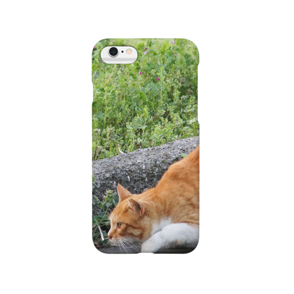 シッポ追いの猫写真店のロックオン！ Smartphone Case