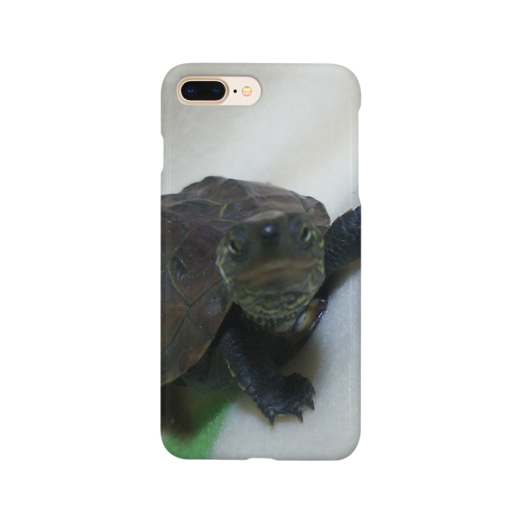 みどママのクサガメの赤ちゃん Smartphone Case