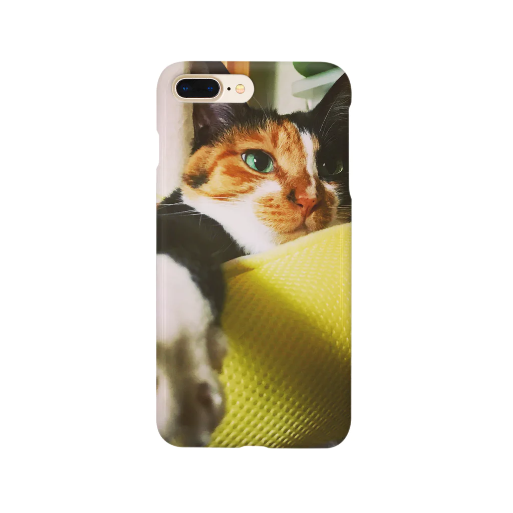 猫力(CAT POWER)のれもたん2 Smartphone Case