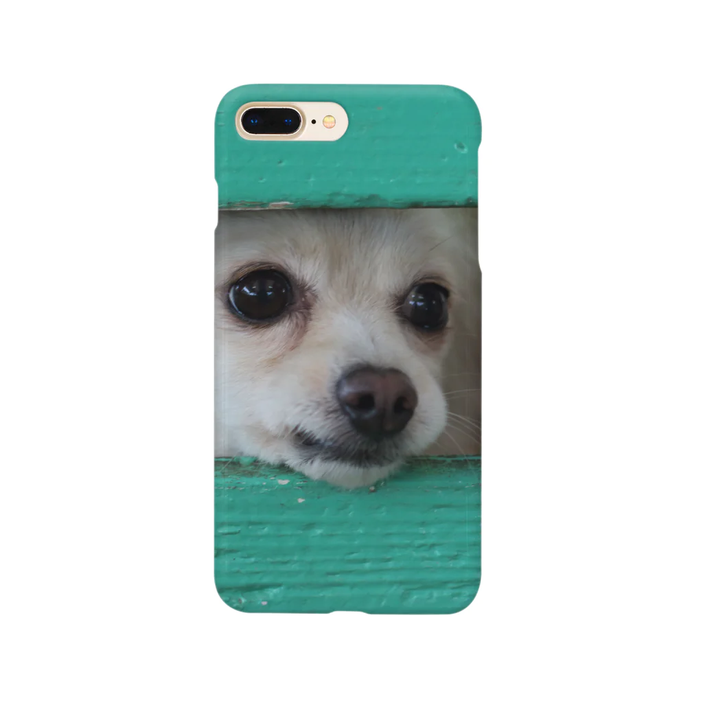 フリー素材おきなわグッズショップの隙間から顔を出す犬 Smartphone Case