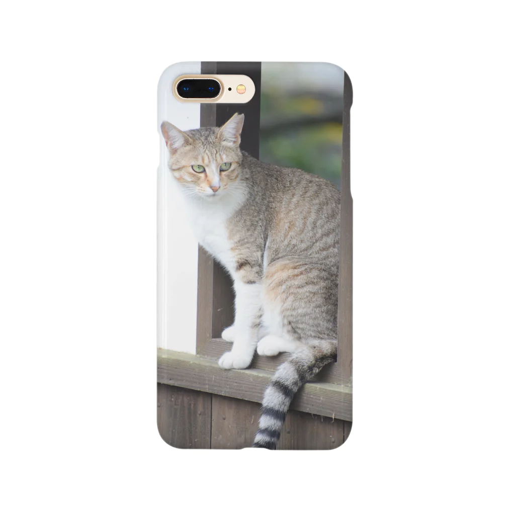 maleenakipagaのねこの日常。 Smartphone Case