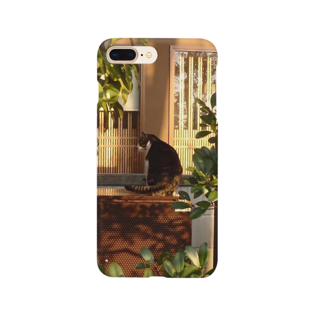 PayPayの夕日に佇む猫 Smartphone Case