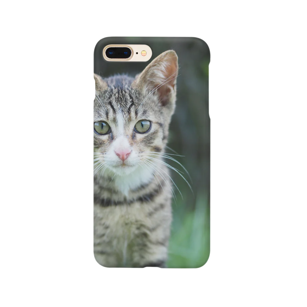 のら猫屋さんののら仔猫 Smartphone Case