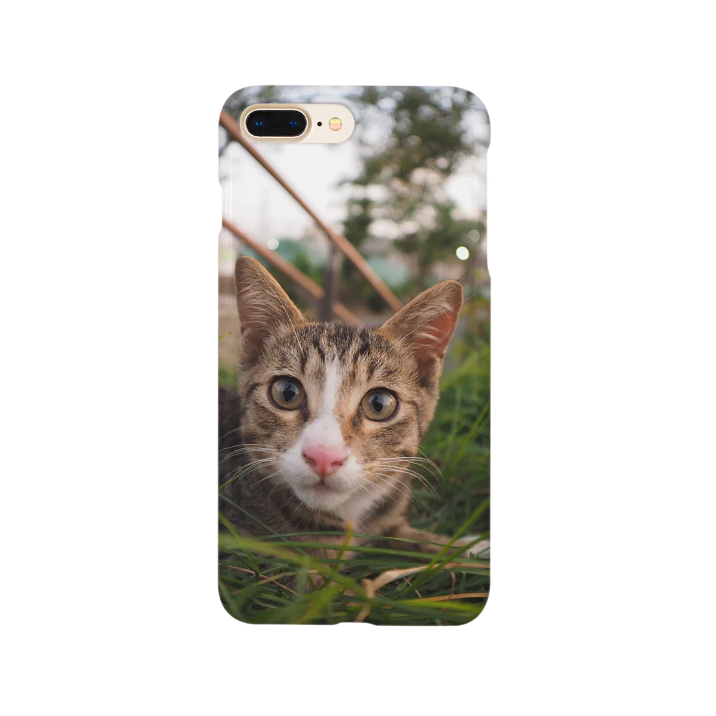 のら猫屋さんののらこねこ Smartphone Case