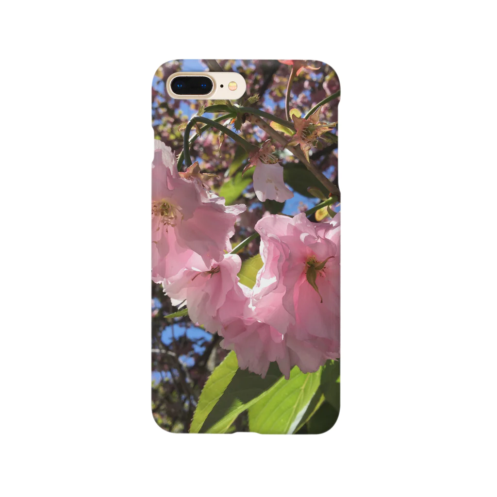 Jodlerin Sakura Kitagawa und die Edelweißmusikantenの花は咲く  2020  花シリーズ1 Smartphone Case