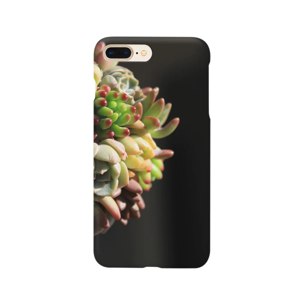 yurarhythmの多肉だま*多肉植物 Smartphone Case