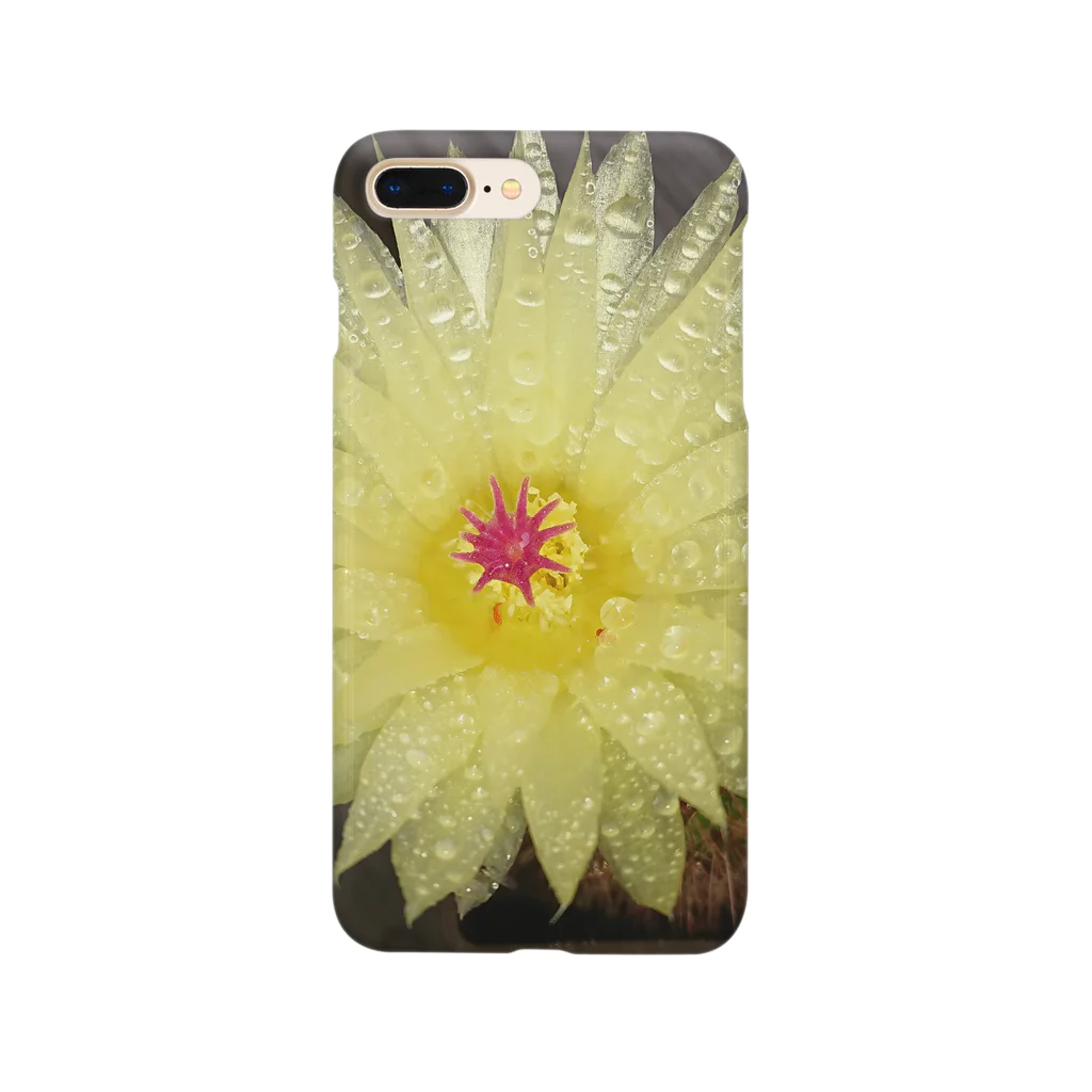 でおきしりぼ子の実験室のサボテンの花 Smartphone Case