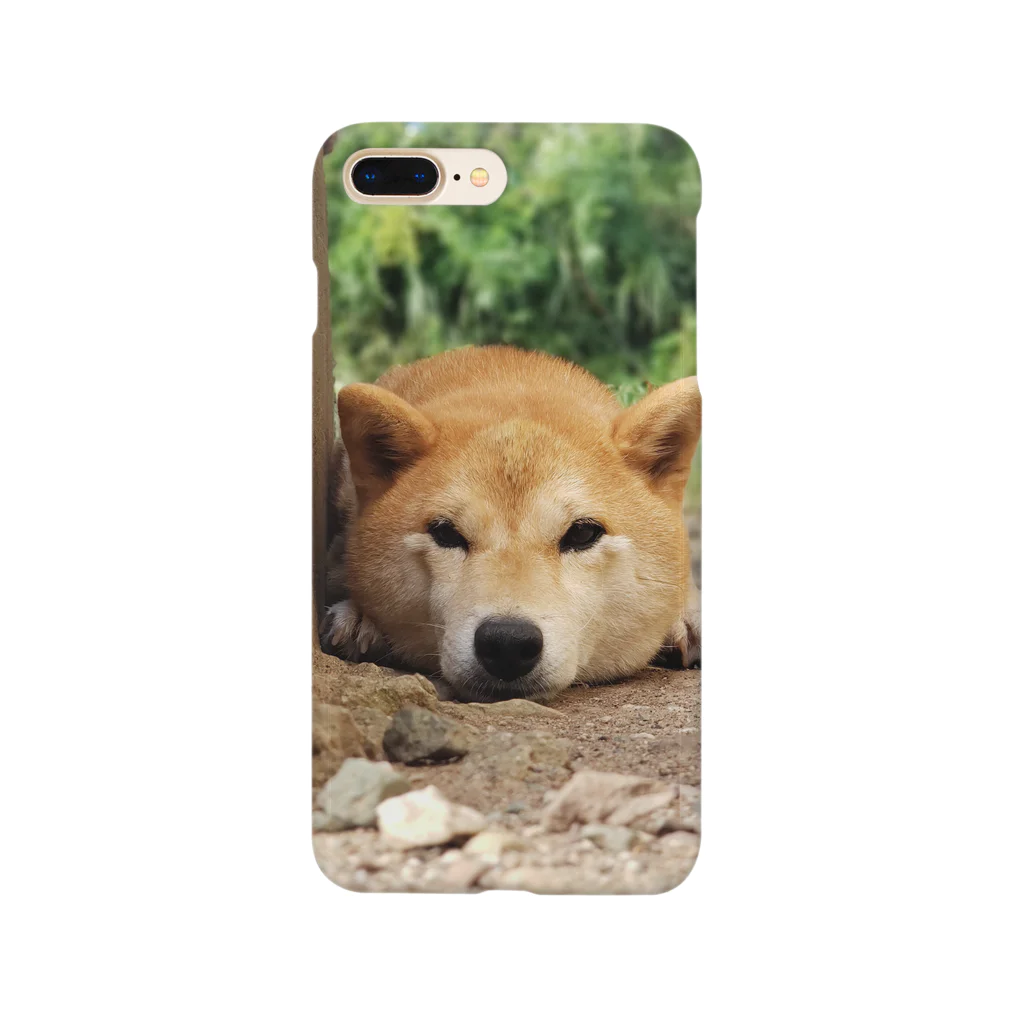 ごんzoUの柴犬いろは　じーーっ Smartphone Case