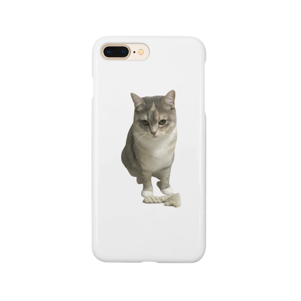 ねこのパピコのパピコ（おねだりのすがた） Smartphone Case