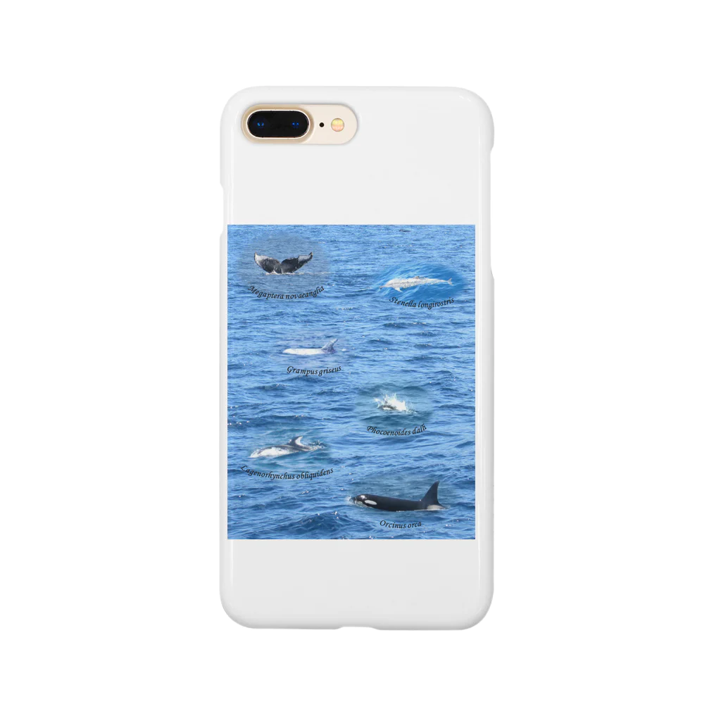 L_arctoaの船上から見た鯨類(1) Smartphone Case