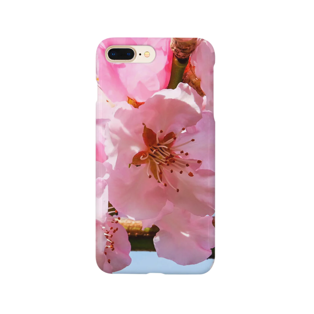 orange_honeyの桜32 Smartphone Case