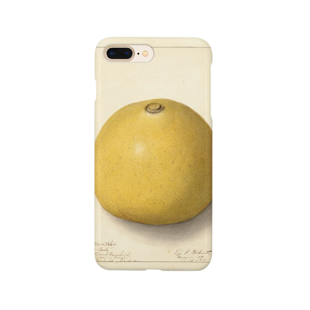 ArtShirtのAegle marmelos  Smartphone Case