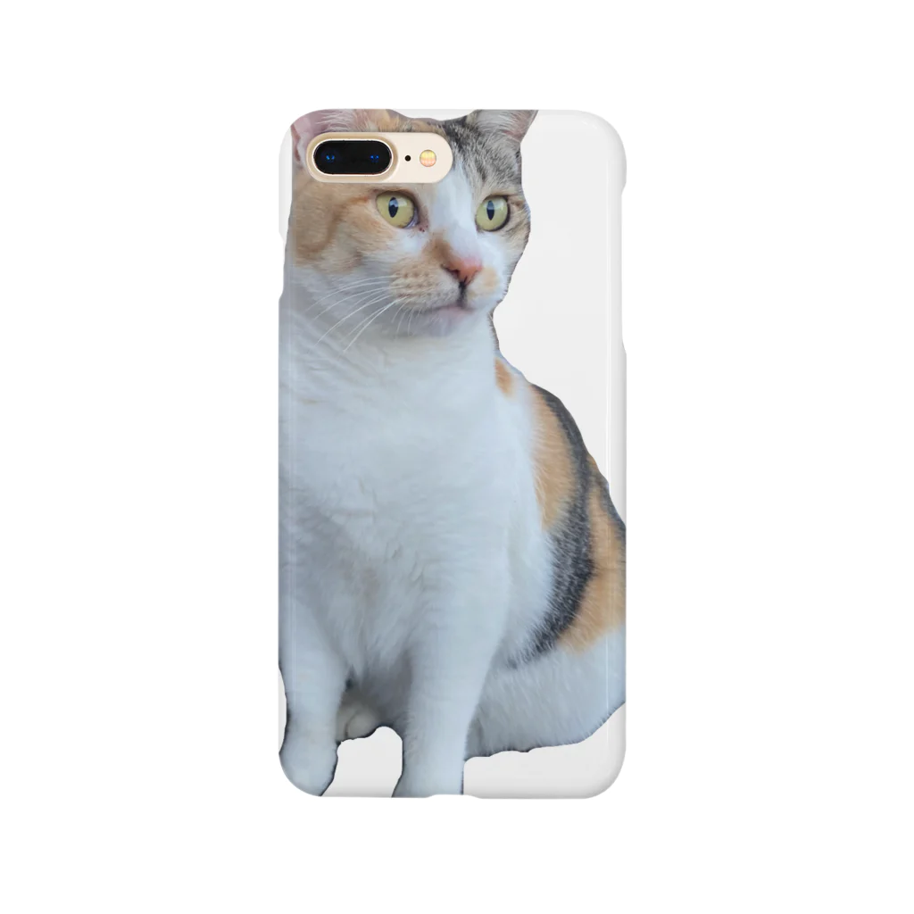 三毛猫のハシモトの遠くを見るハシモト Smartphone Case