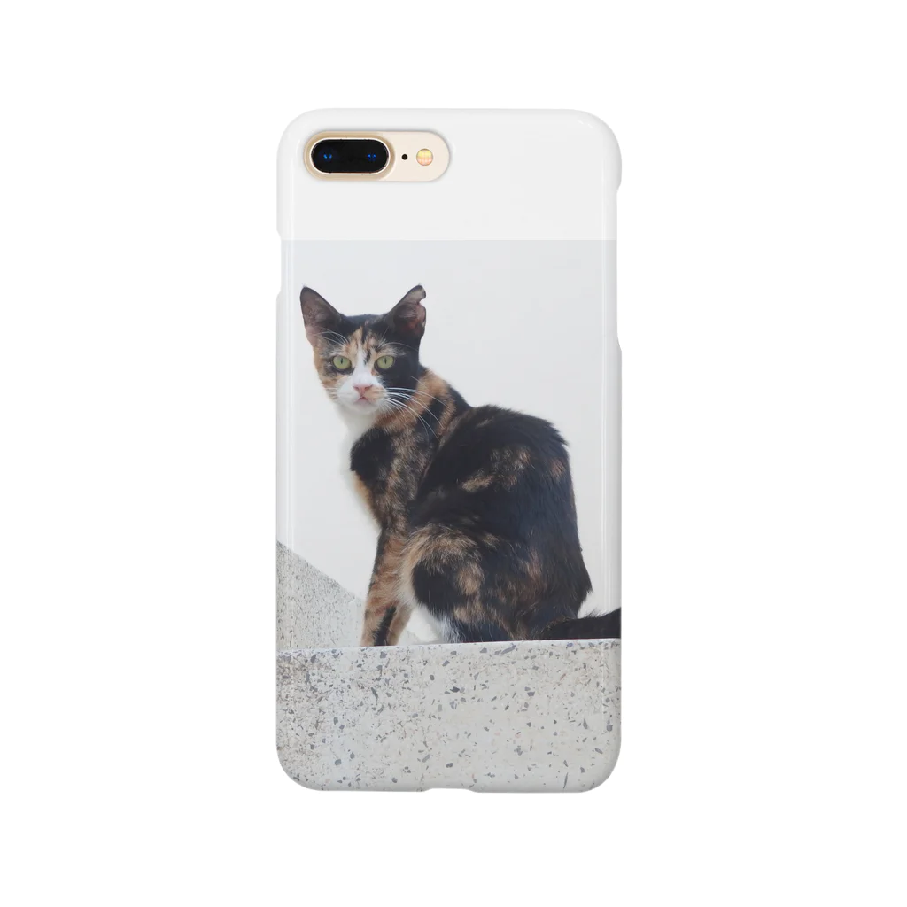 momoニャンカフェの猫好きの聖地、マルタ島の猫さん Smartphone Case