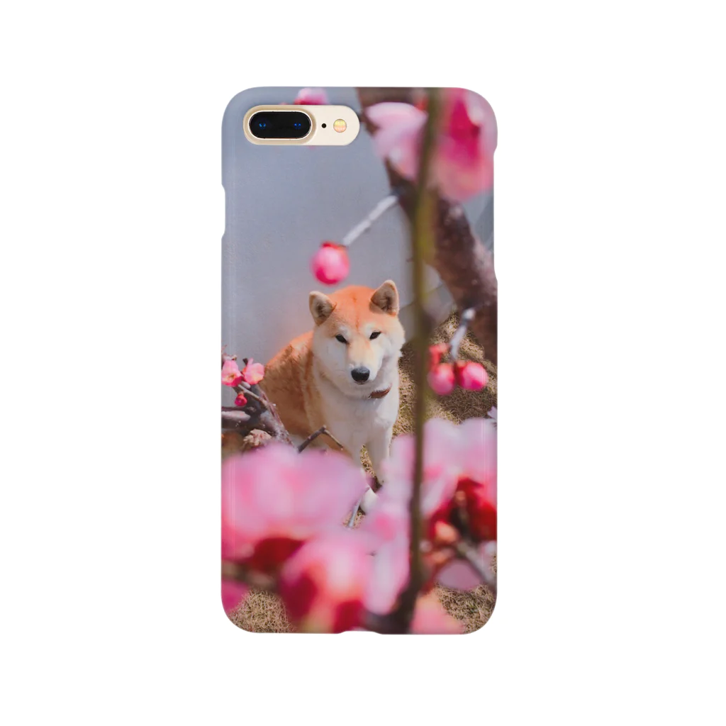 Hotate_Kaibashiraのつゆり Smartphone Case