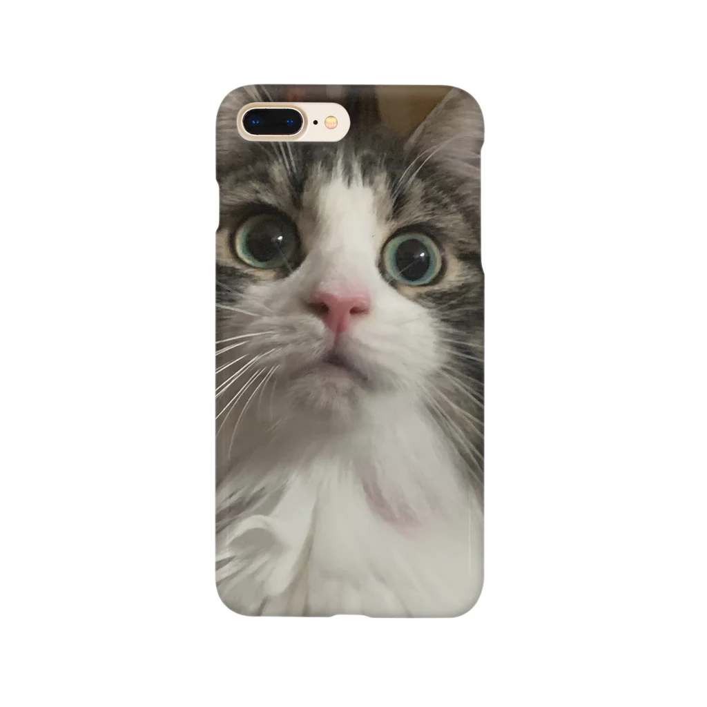 ねこねこねこのおどろきねこ Smartphone Case