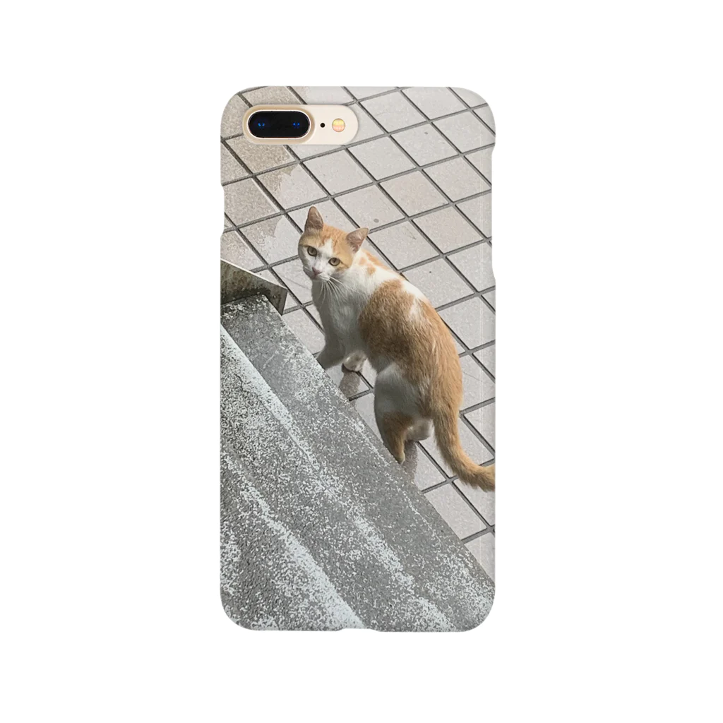 charlie_dogの玄関先の知らん猫 Smartphone Case