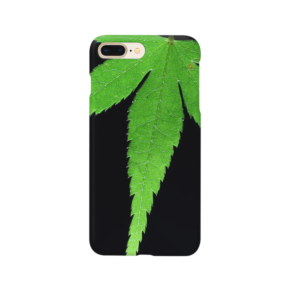 CNU Official ShopのiPhone 11 Pro Smartphone Case Leaf in Close Up Design スマホケース