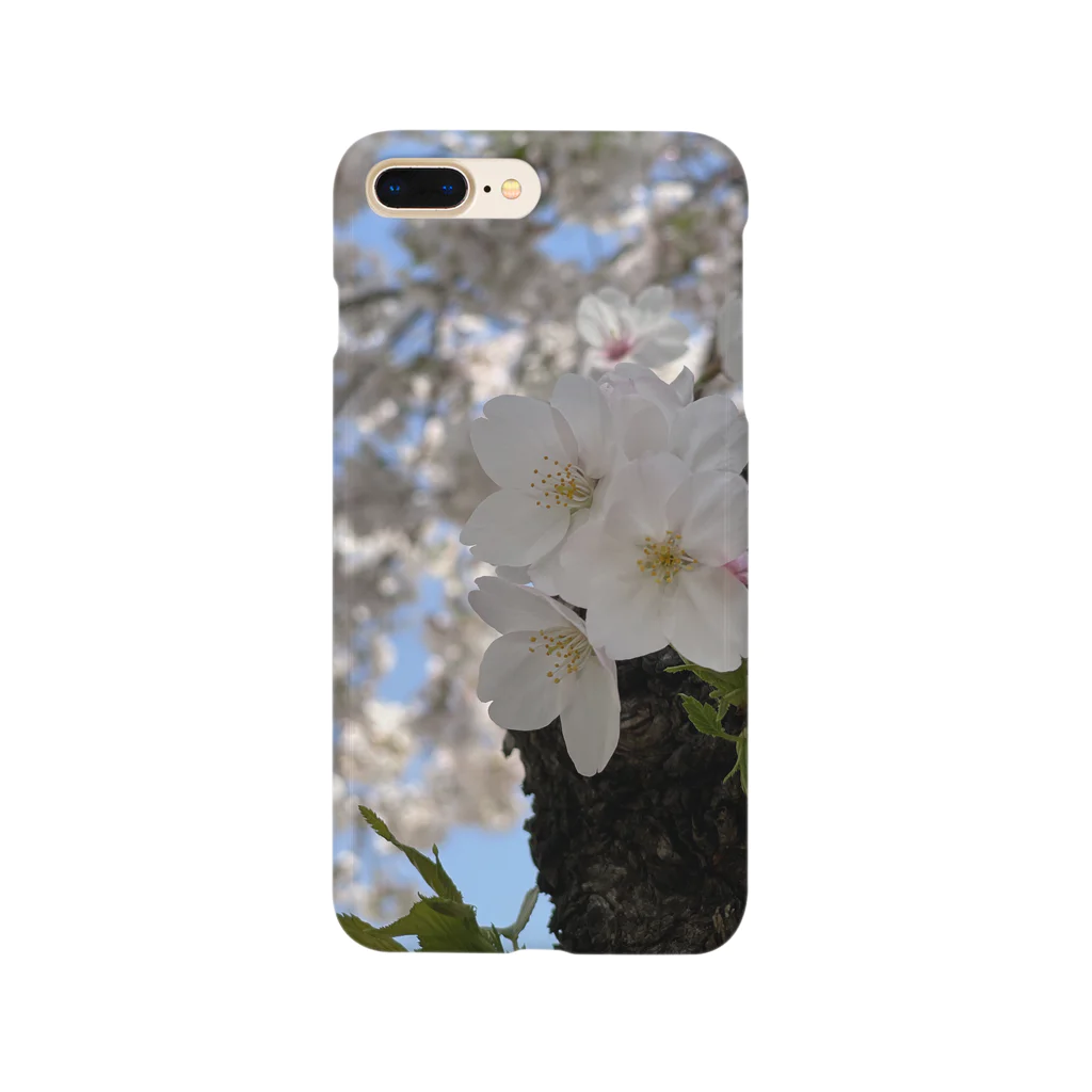 まこの見た景色の桜 スマホケース