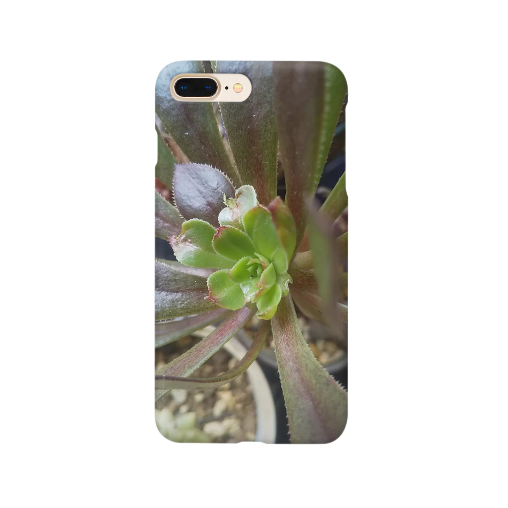 ミクロの多肉植物の黒法師 Smartphone Case