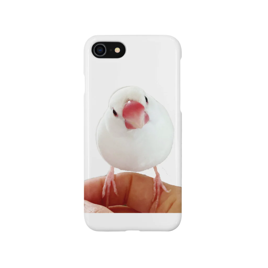 おさとうとおしおのおさとう Smartphone Case