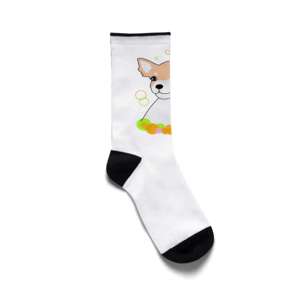 greetenのチワワ癒し犬 Socks