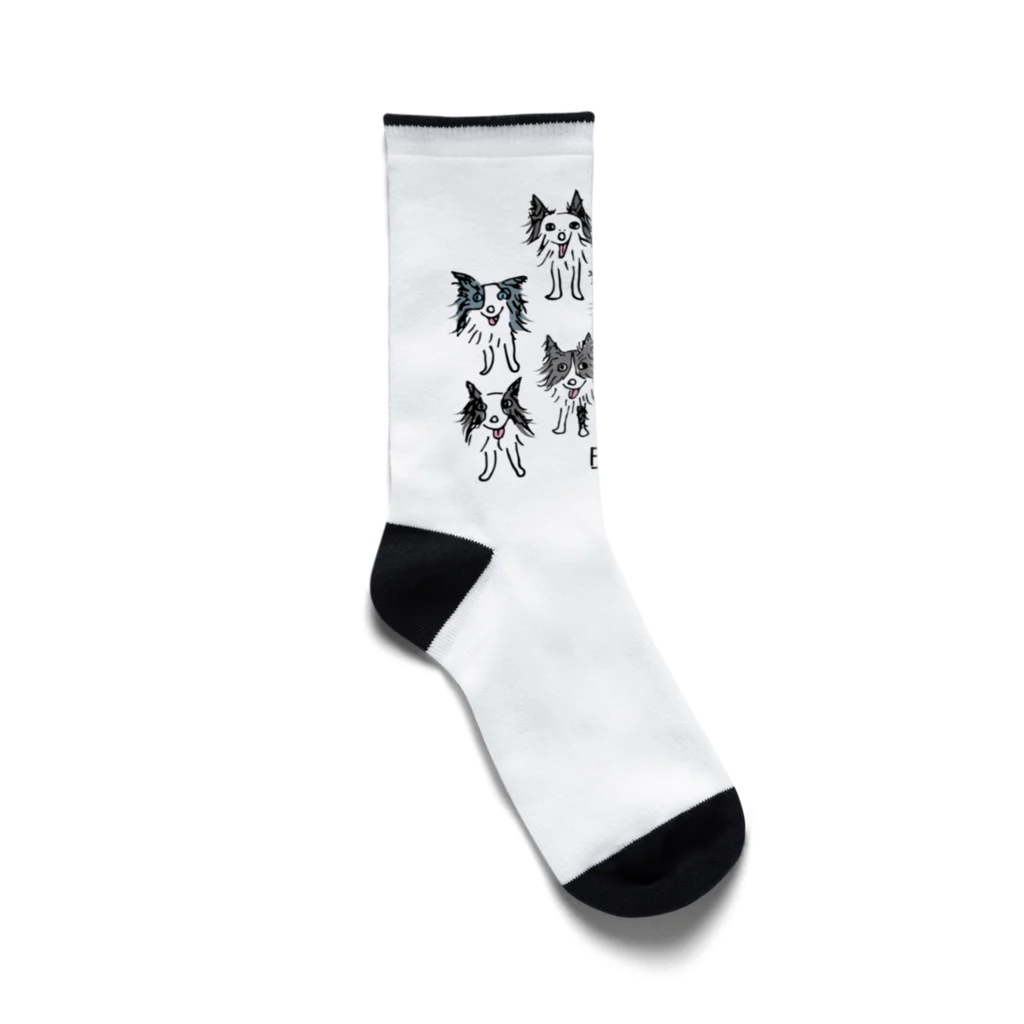 Bordercollie StreetのBCA709-5 Socks