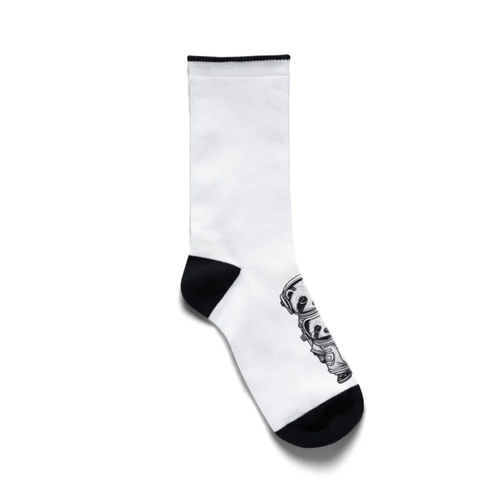 CT raccoonのCT raccoon Socks