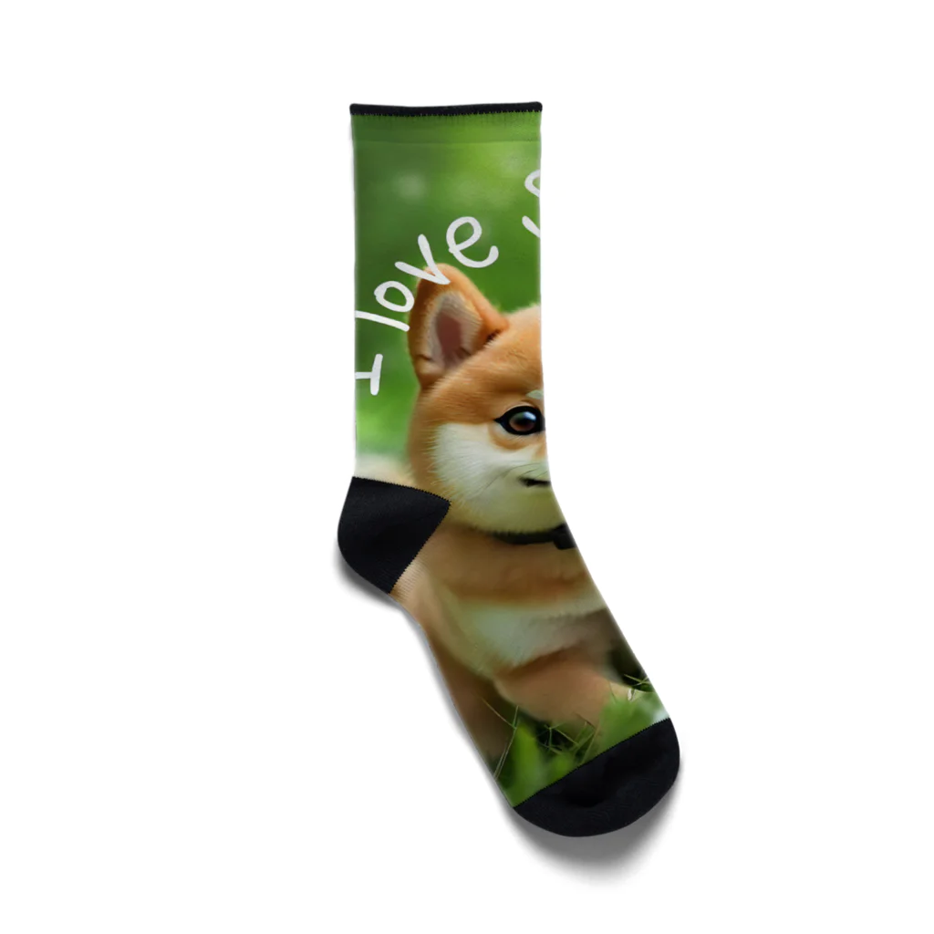 CC-LL (クク・ルル)の【柴犬】フォトリアル Socks