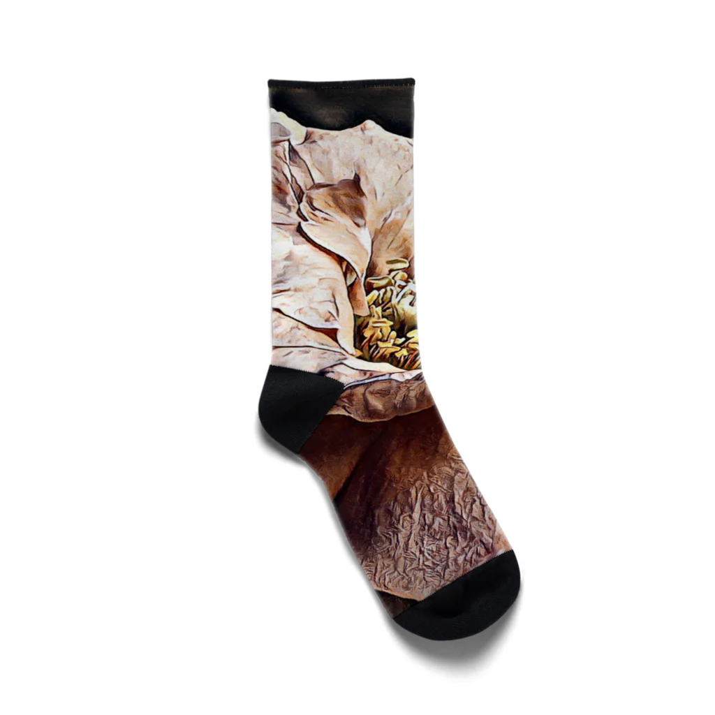 Anna’s galleryのElegant Rose Socks