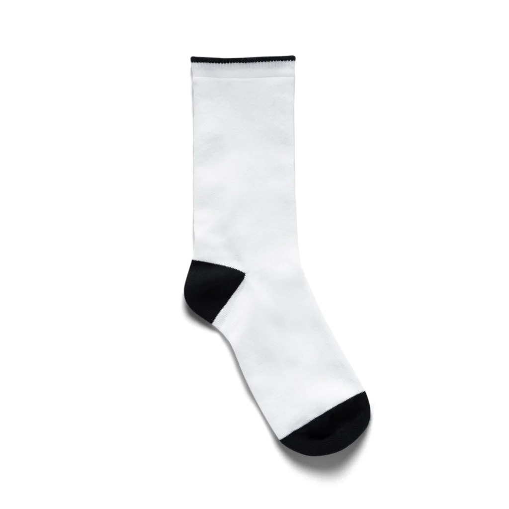 白亜画廊 SUZURI店の2023Winter_PolarBear Socks