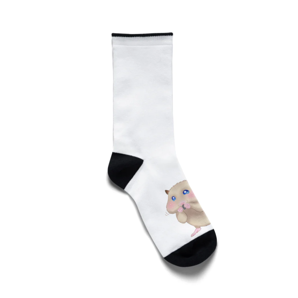 AriyamaSayuriの今日ものんびり。きんハムちゃん Socks