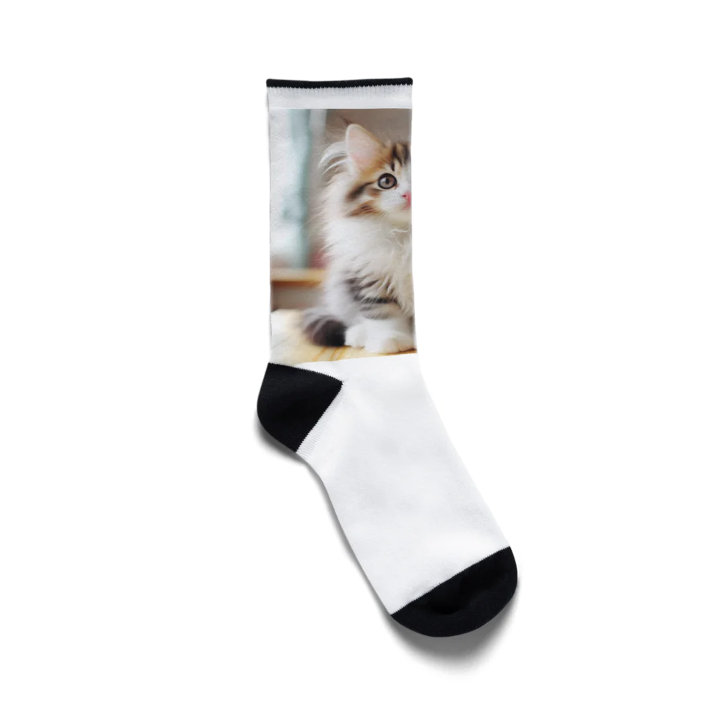 Creation CATのゴージャスCAT Socks