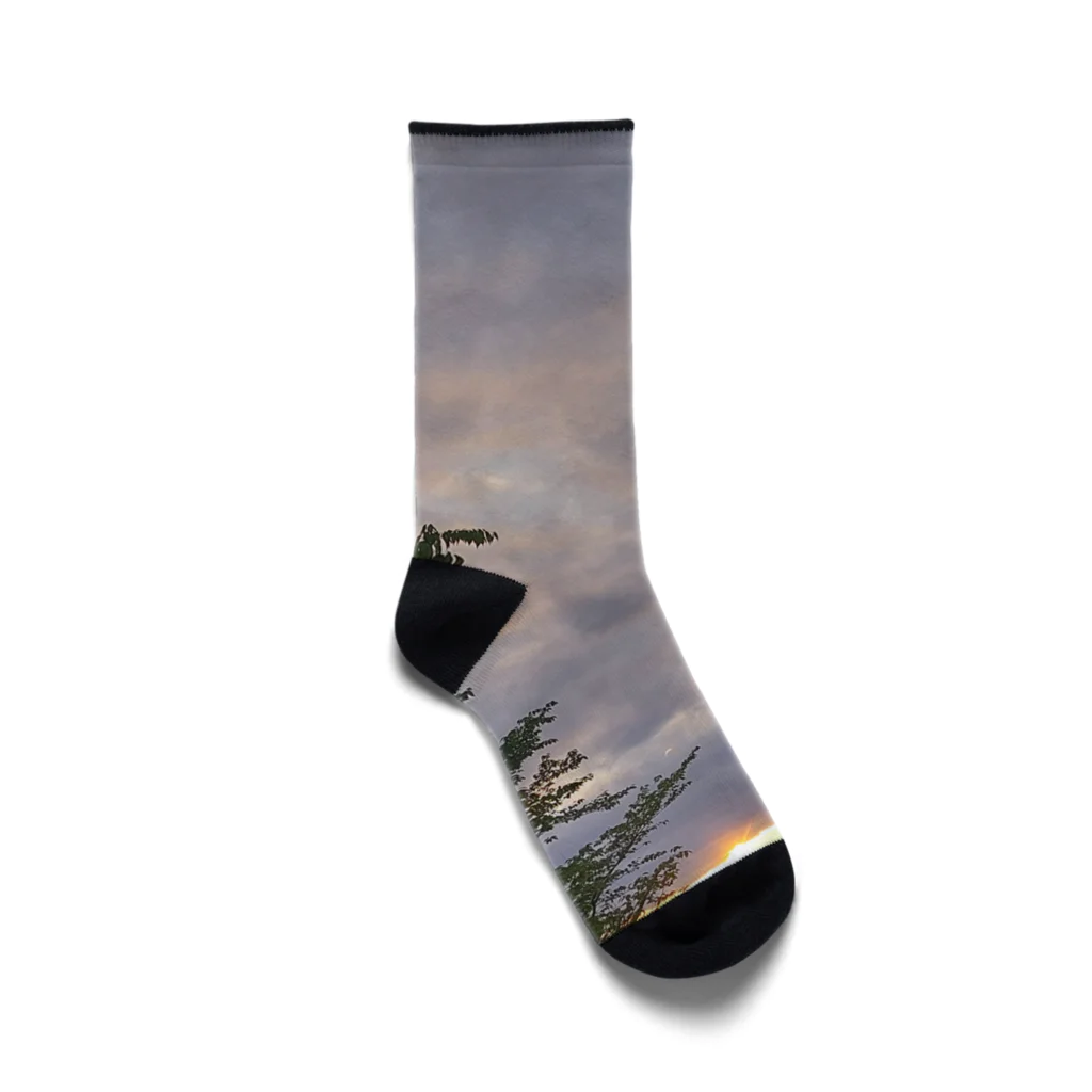 inoriの夕刻の京都より、27歳の誕生日 Socks