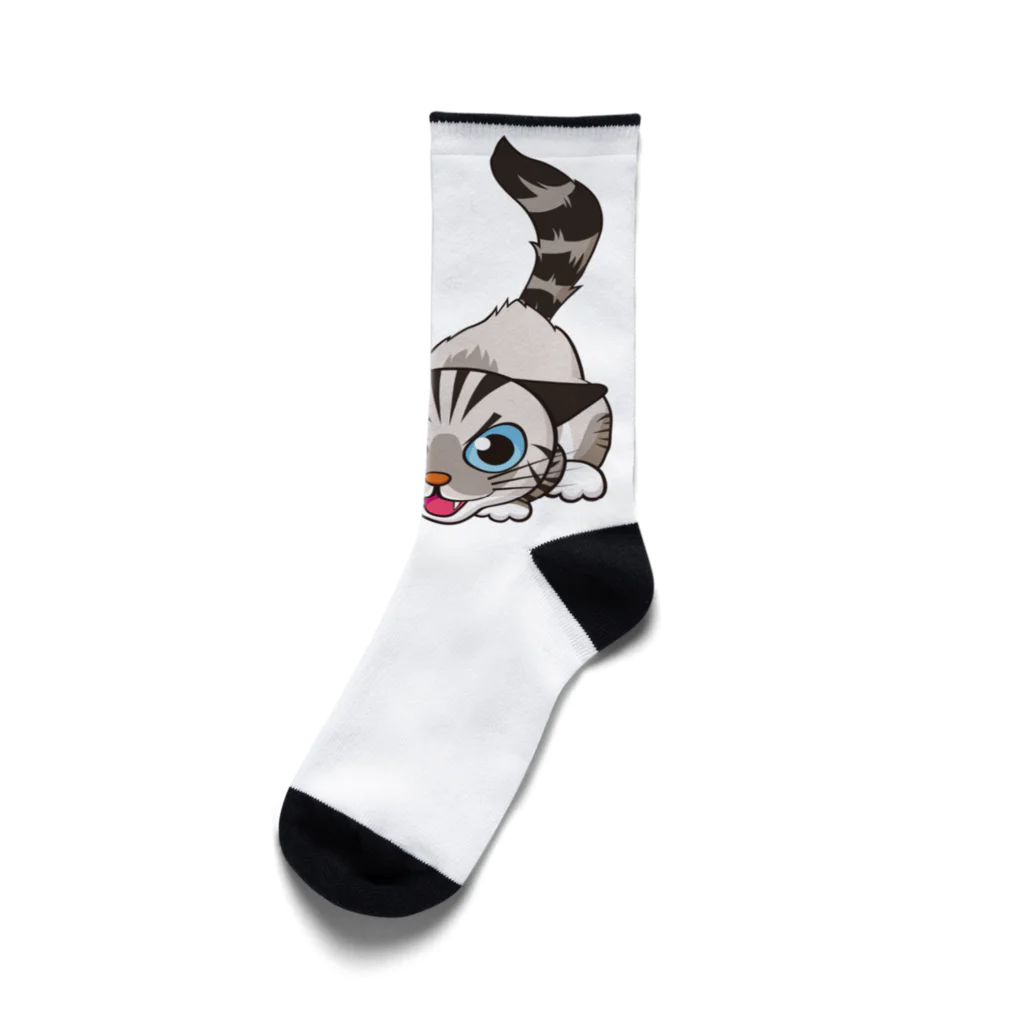 asta_kurokenのシャーシャージャンくん04 Socks